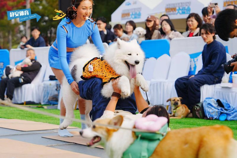 犬运会暨宠物亲子运动周末